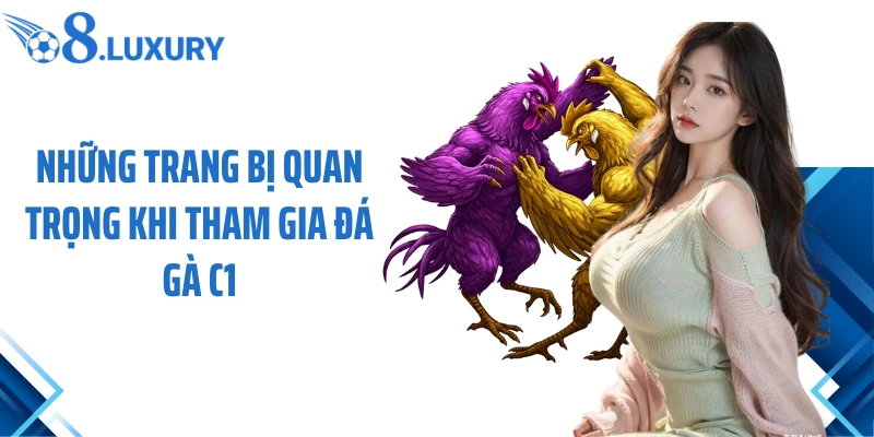 Đá Gà C1 O8 - Chiến Lược Cá Cược Bất Bại Cho Tân Thủ 4 Những trang bị quan trọng khi tham gia đá gà C1
